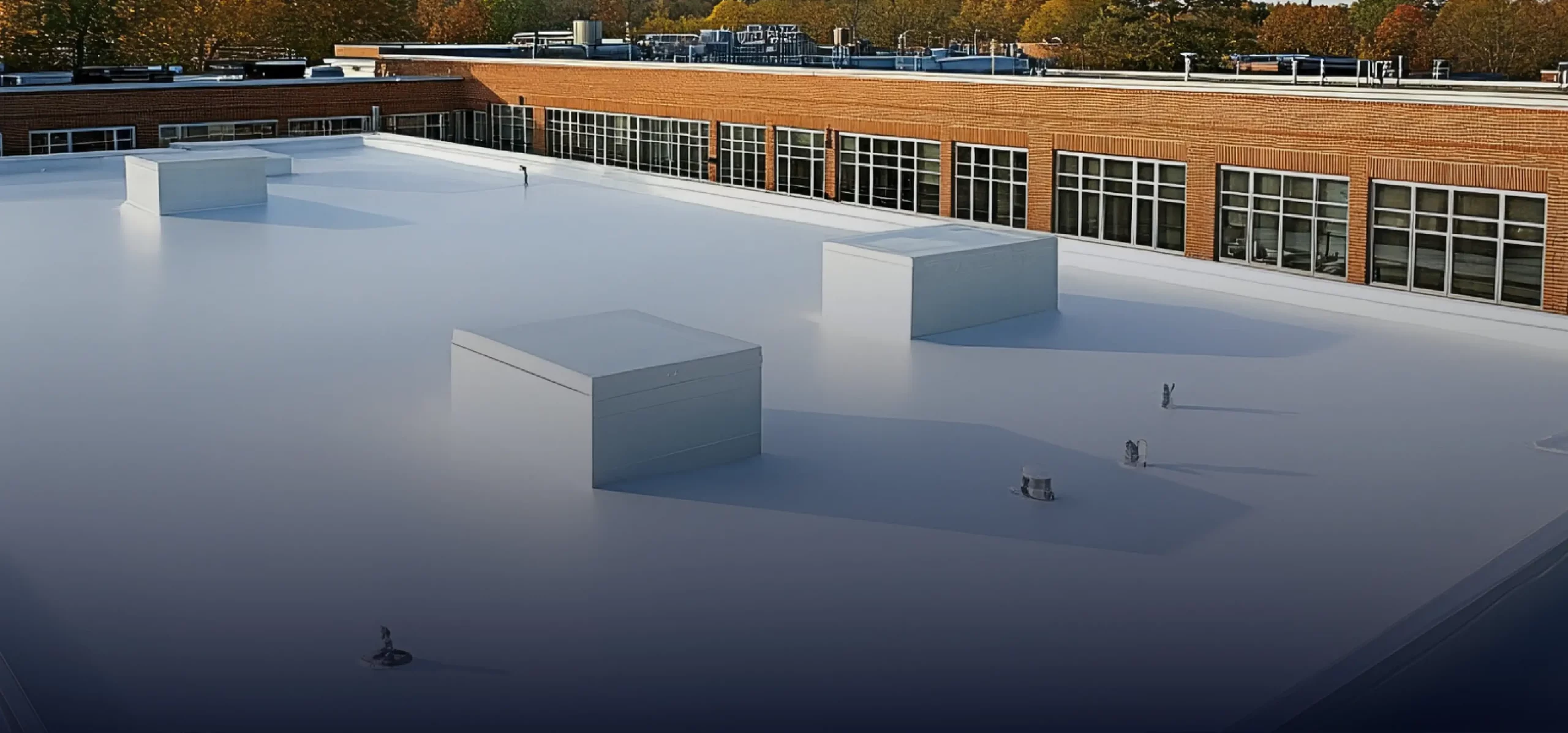 Cool Roof